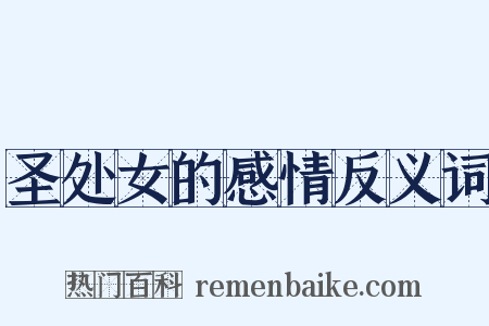 圣处女的感情反义词是什么意思的图片